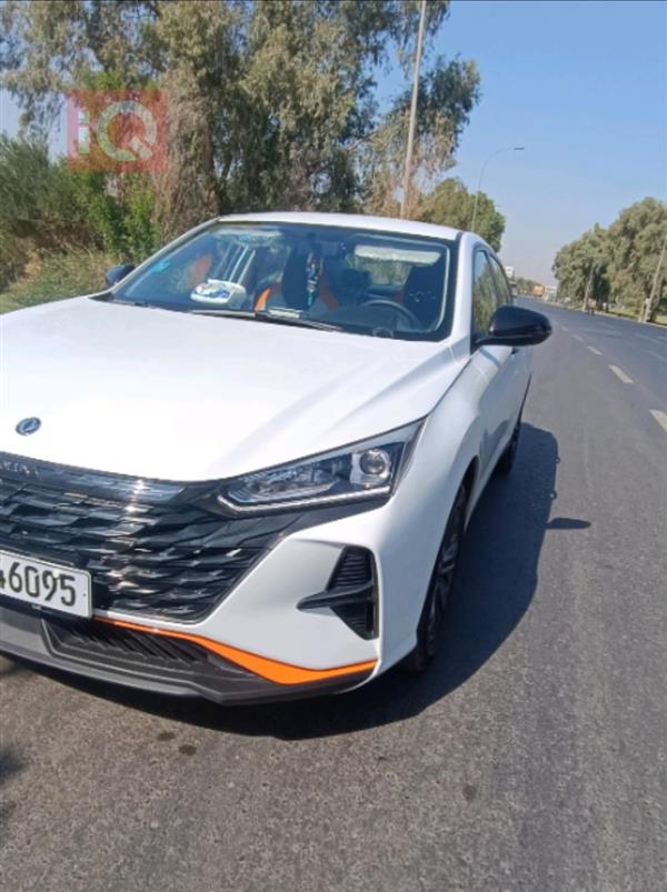 دونج فينج شاين 2025 للبيع في العراق -  بغداد